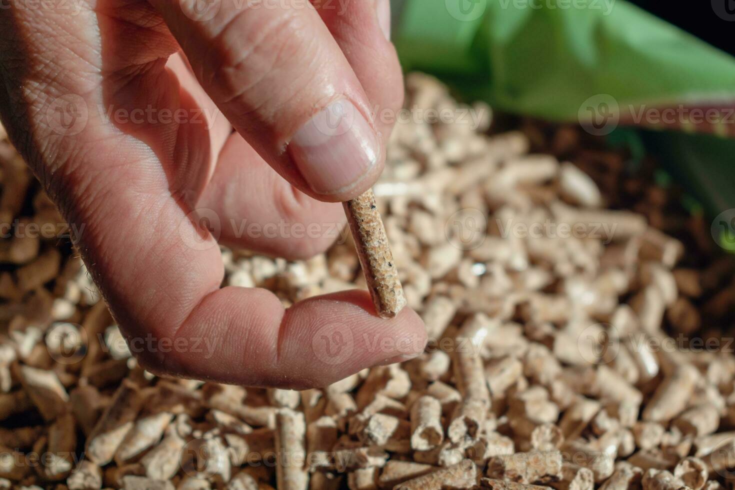 Man holding pellet for stove photo