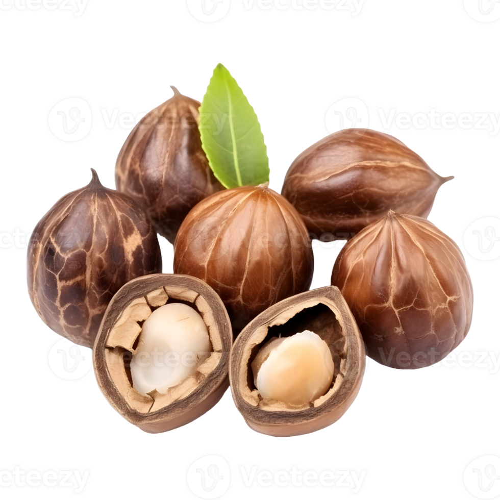 AI generated Walnuts on Transparent background - Ai Generated png