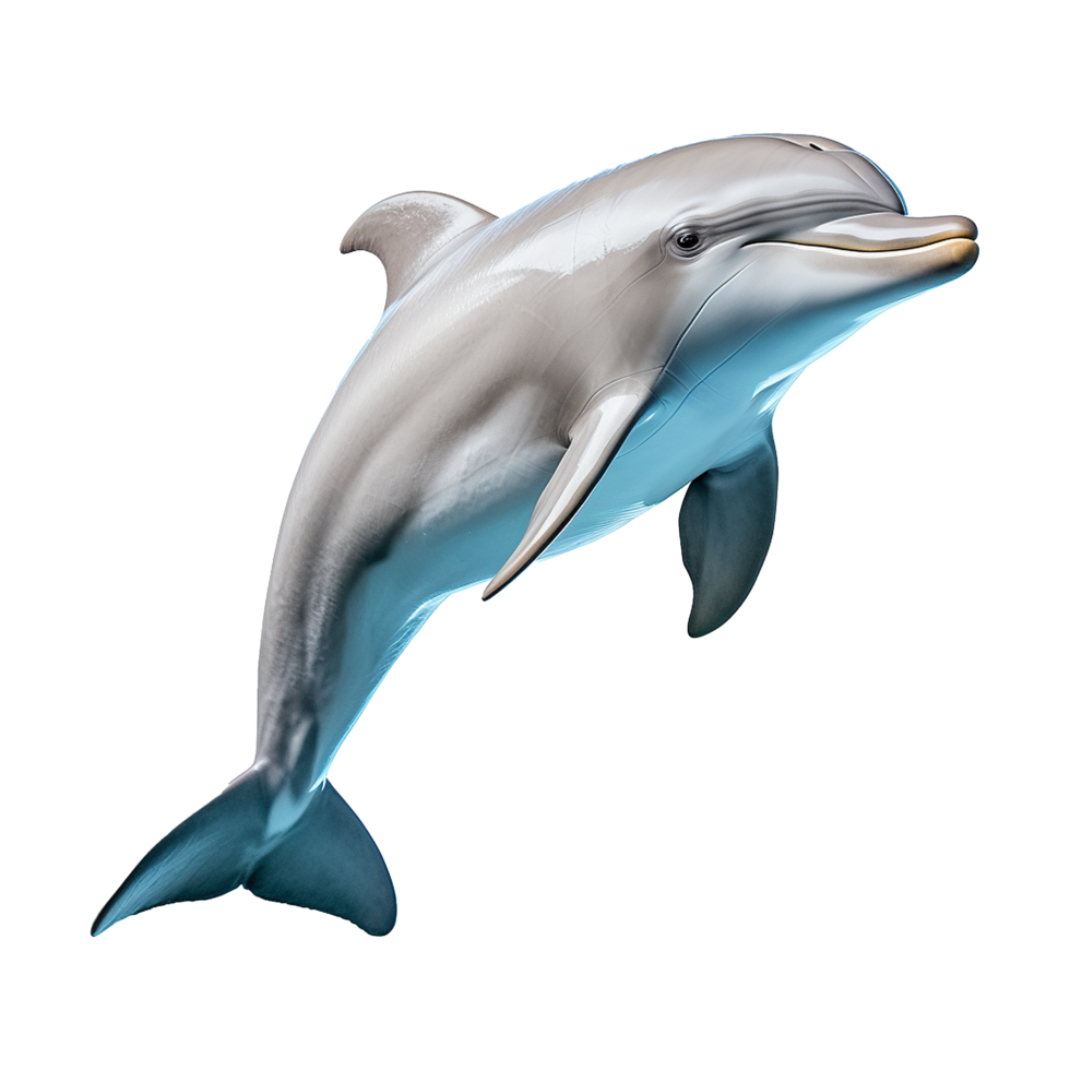 AI generated Dolphin isolated on transparent background png