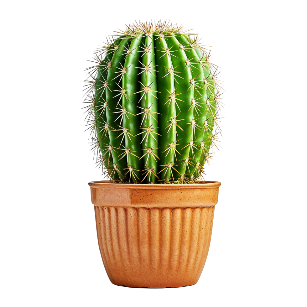 AI generated Cactus isolated on transparent background png