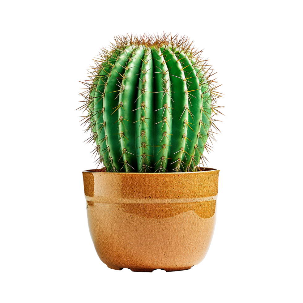 AI generated Cactus isolated on transparent background png