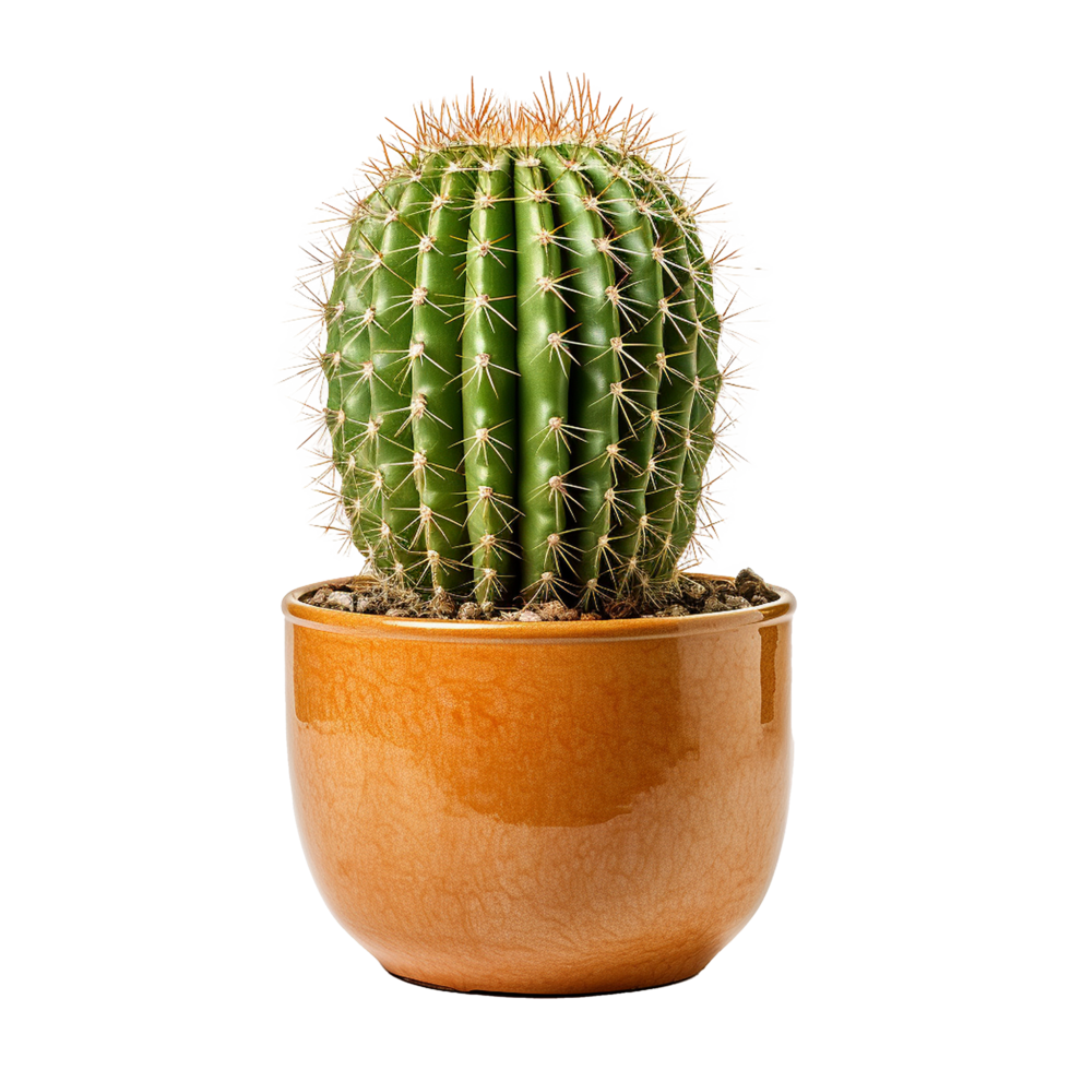 AI generated Cactus isolated on transparent background png