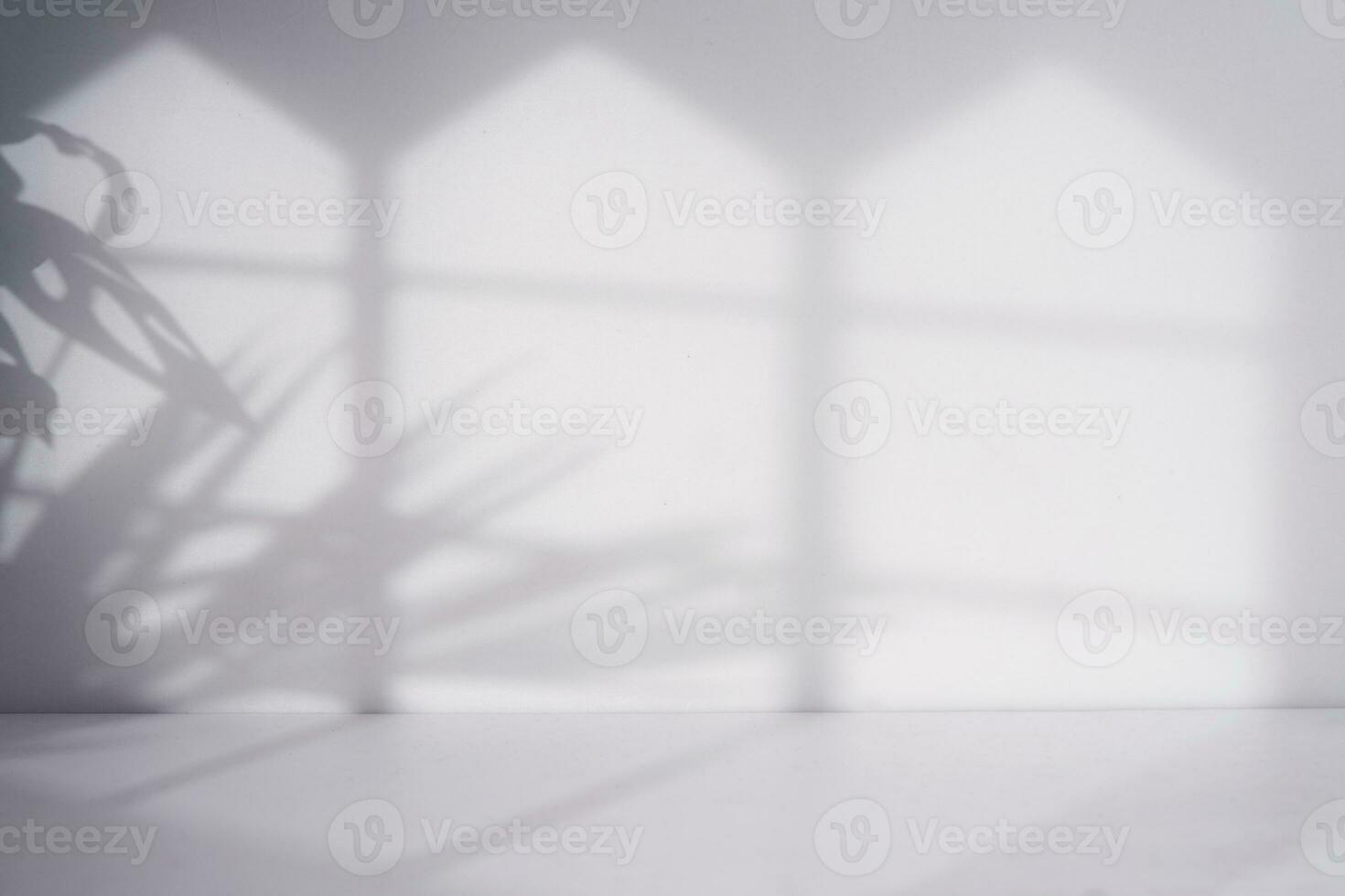 minimalist room with window and leaf shadow background photo