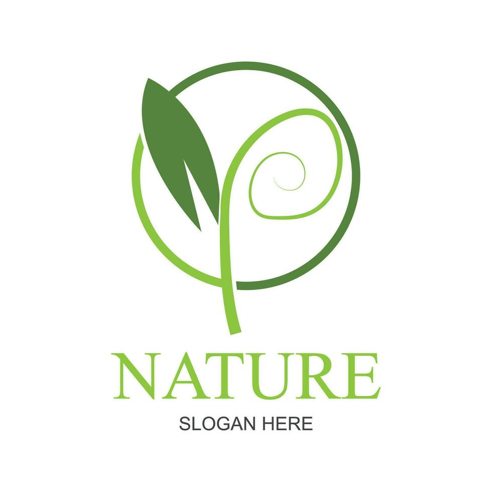 naturaleza creativo símbolo orgánico concepto. bio herbario salud cuidado resumen negocio eco logo. Fresco alimento, circulo paquete, belleza flora, farmacia icono. corporativo identidad logotipo, empresa gráfico vector