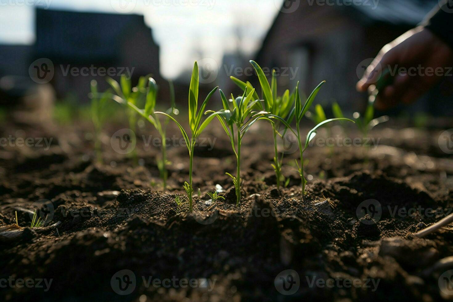 AI generated Environmental stewardship A tree being planted to contribute to climate change mitigation AI Generated photo