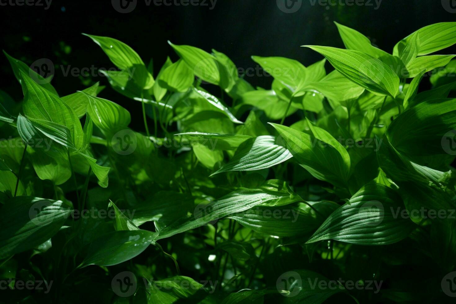 AI generated Dynamic beauty Captivating image of green leaves gracefully suspended in the air AI Generated photo