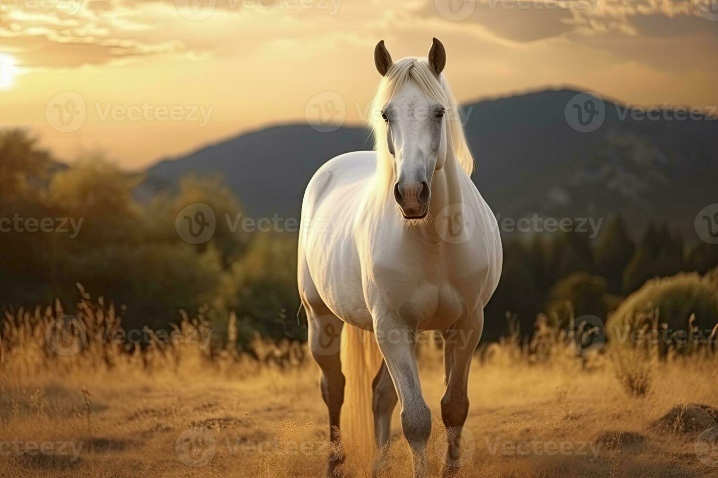 ai generado blanco caballo o yegua en el montañas a puesta de sol. ai generado foto