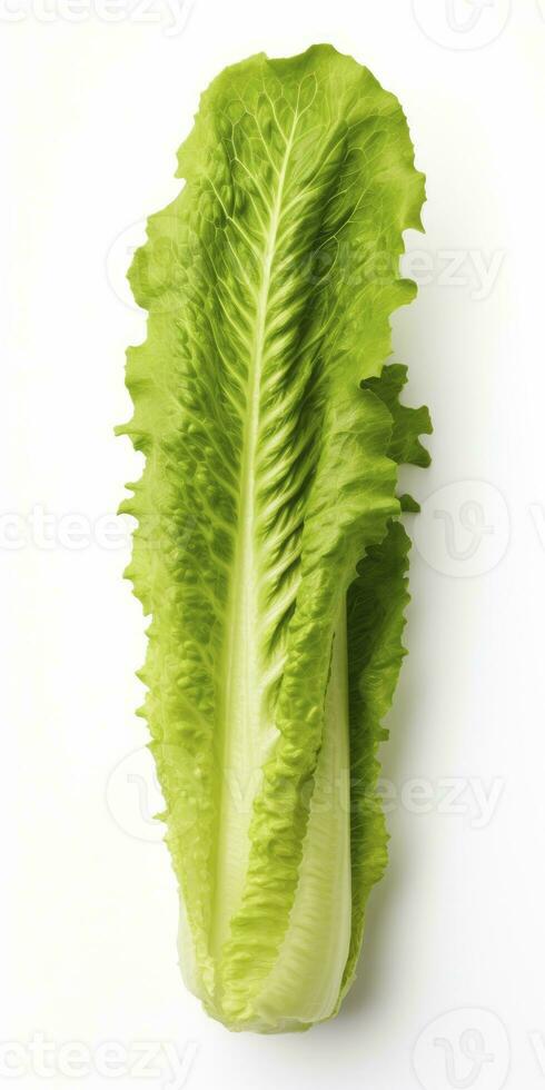 AI generated Lettuce isolated on white background. AI Generated photo