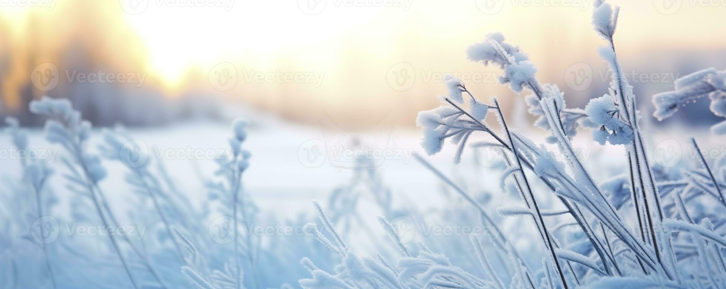 AI generated Frozen snowy grass, winter natural abstract background. beautiful winter landscape. AI Generated photo