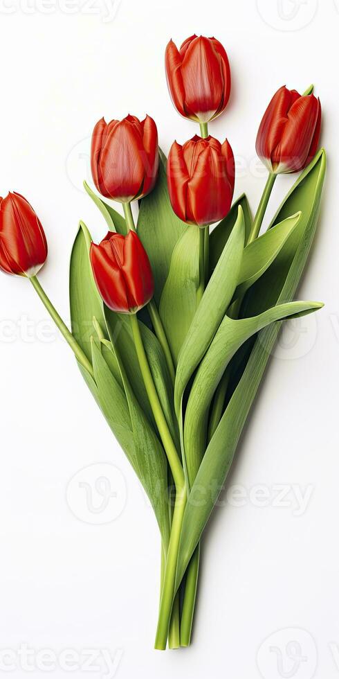 AI generated Red tulips isolated on white background. AI Generated photo