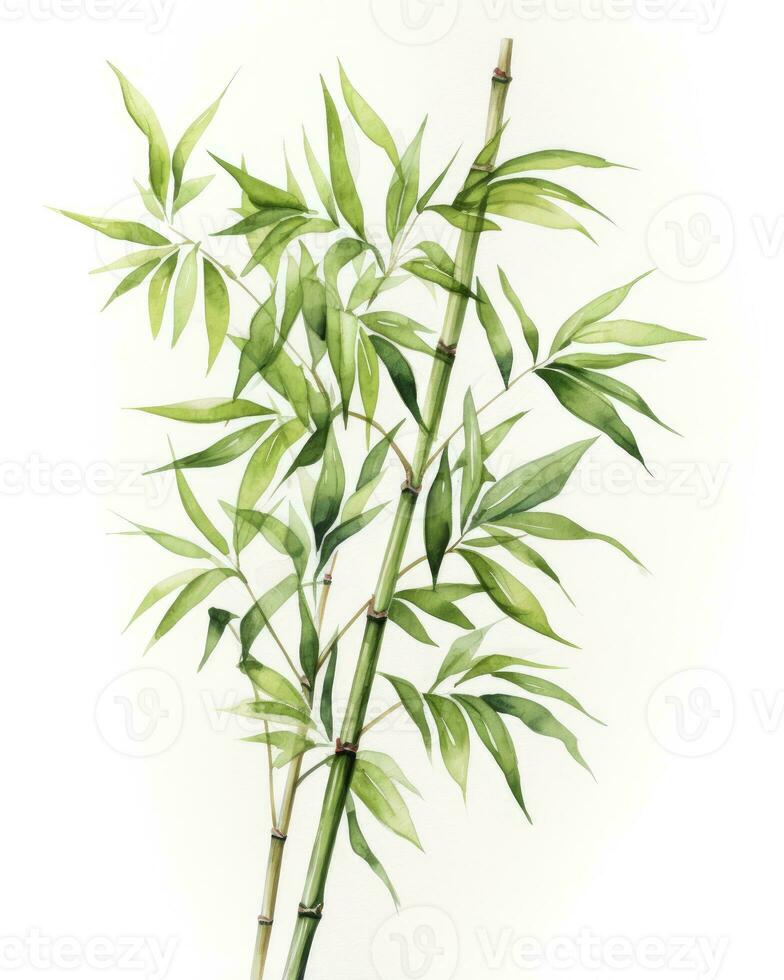 AI generated Watercolor bamboo clipart isolated on white background. AI Generated photo