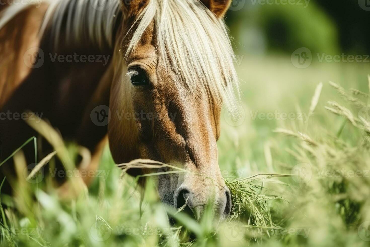 AI generated Brown horse with blond hair eats grass on a green meadow detail from the head. AI Generated photo