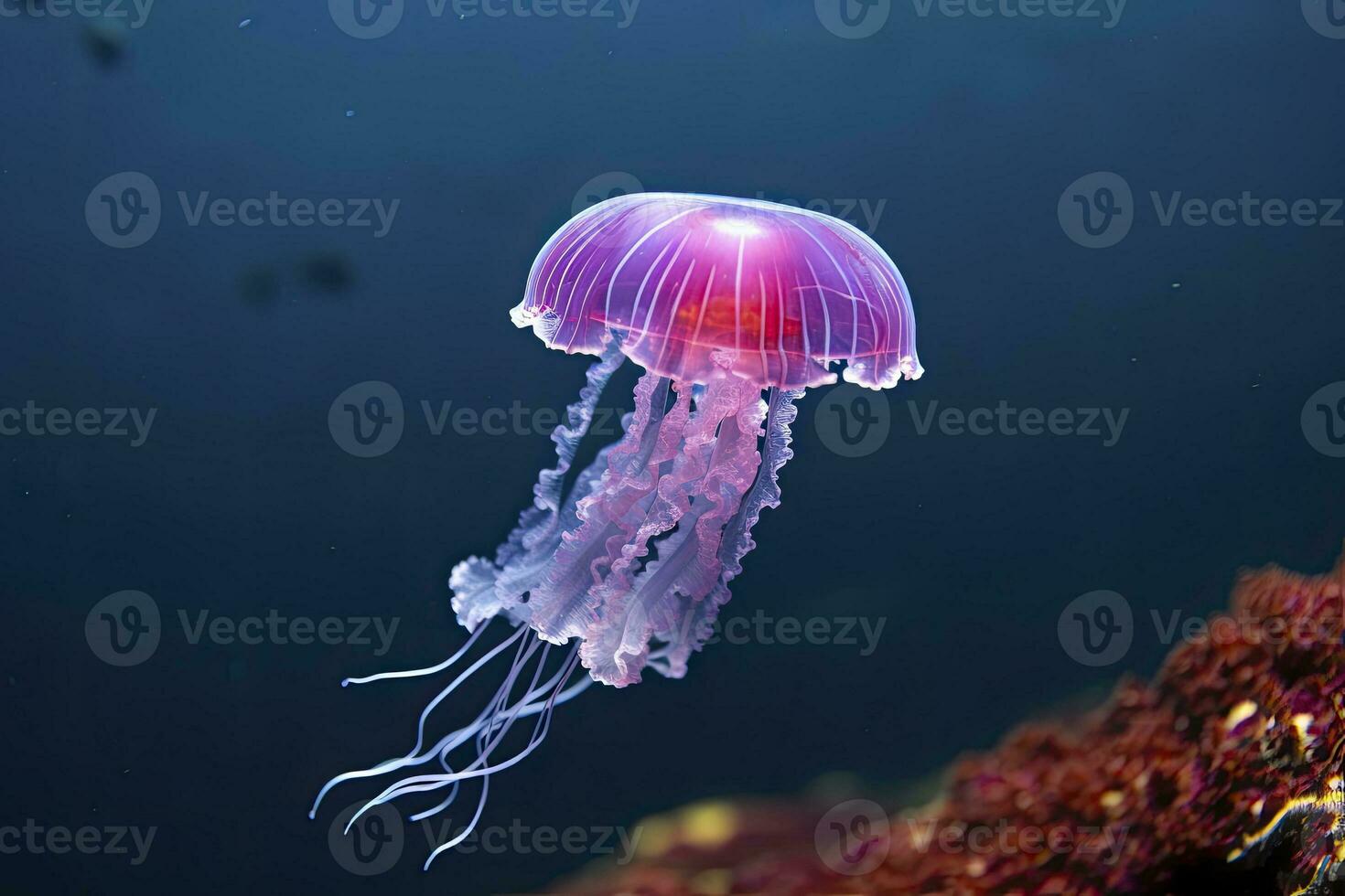 AI generated Mauve stinger purple jellyfish. AI Generated. photo