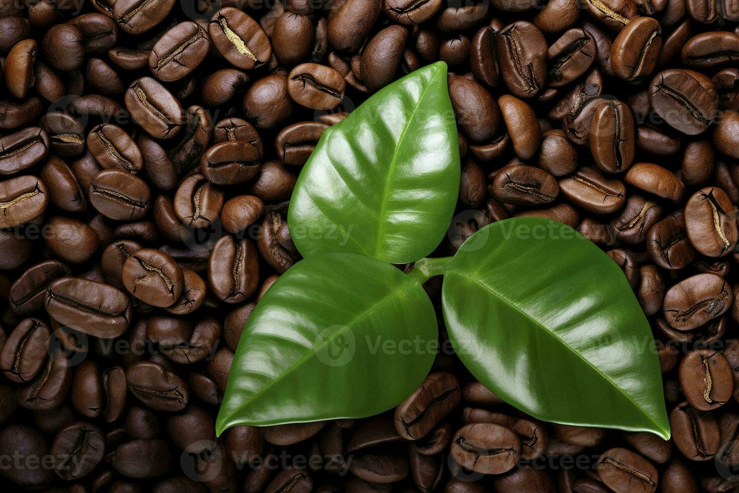 AI generated Green leaves with coffee beans as background. AI Generated photo