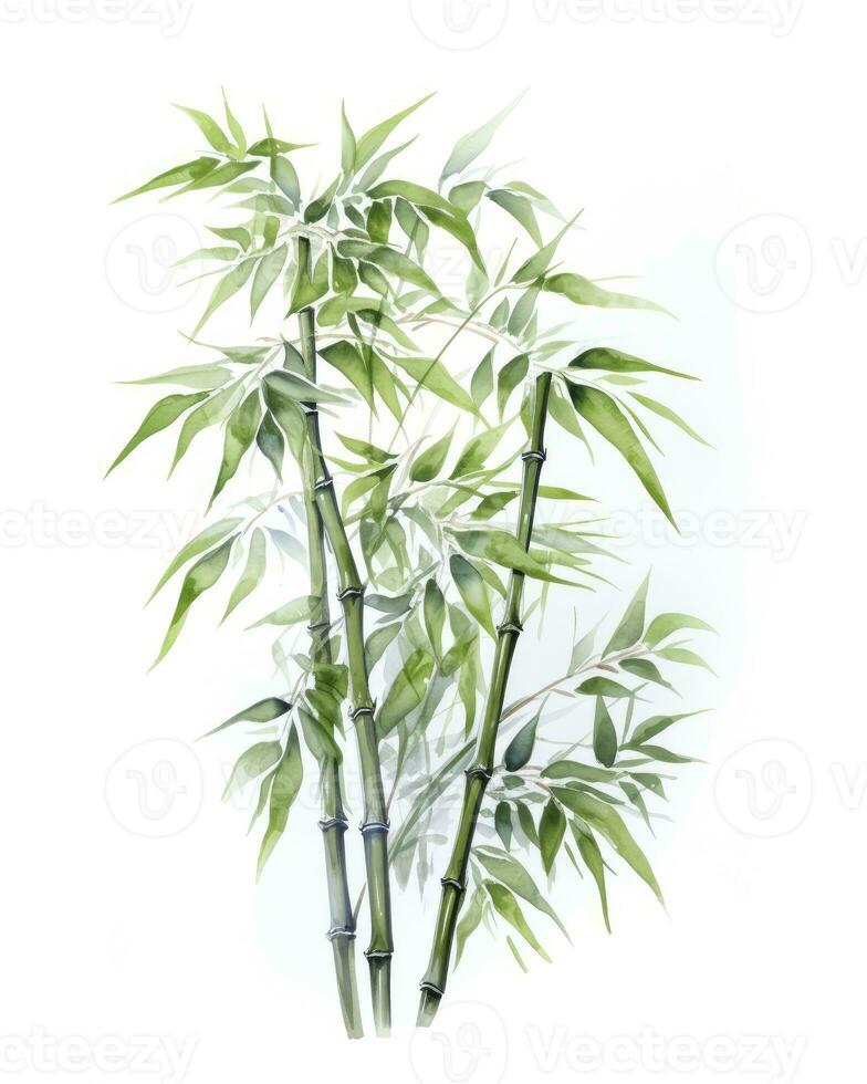 AI generated Watercolor bamboo clipart isolated on white background. AI Generated photo