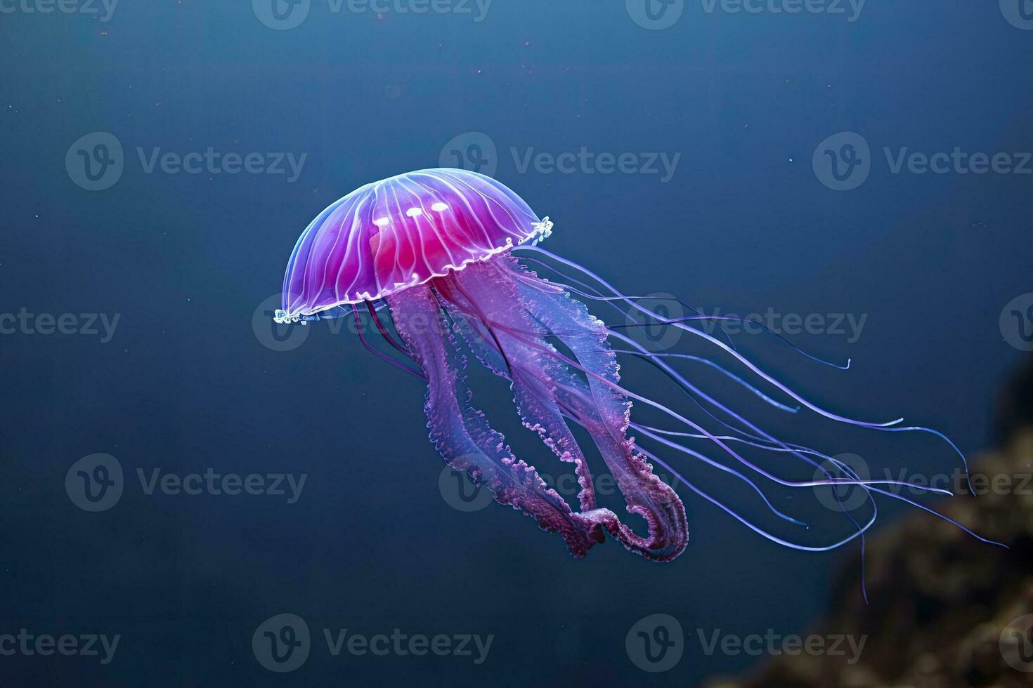 AI generated Mauve stinger purple jellyfish. AI Generated. photo