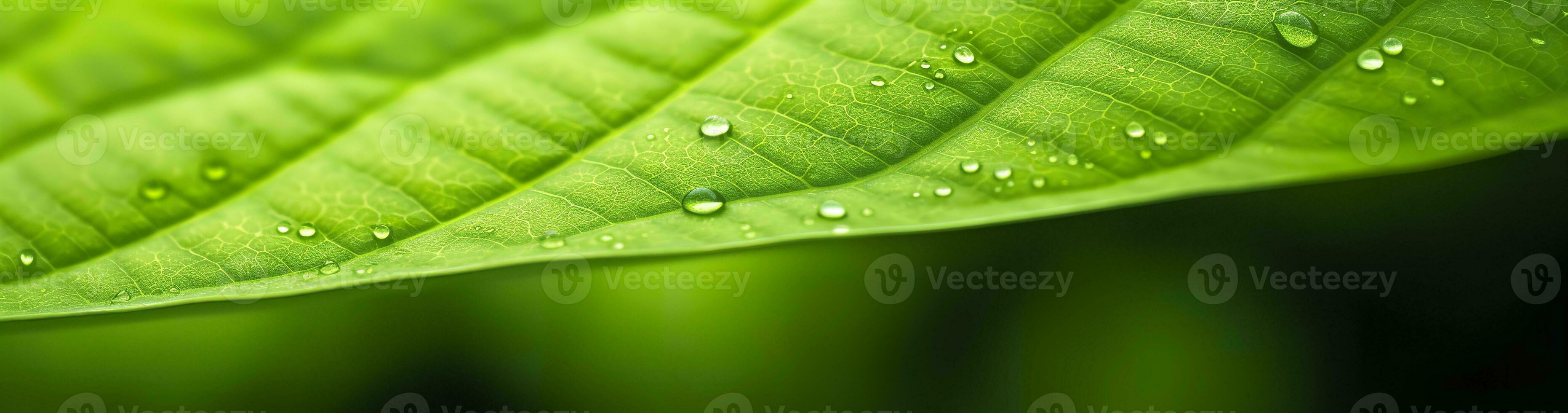 AI generated Green leaf nature background. AI Generated photo