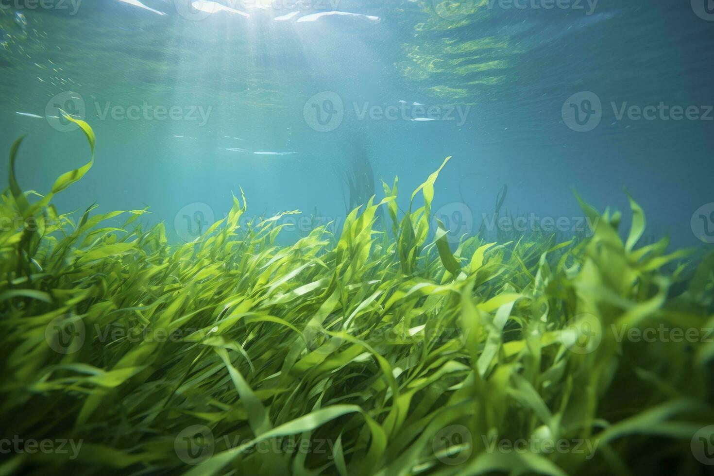 AI generated Underwater view of a group of seabed with green seagrass. AI Generated photo