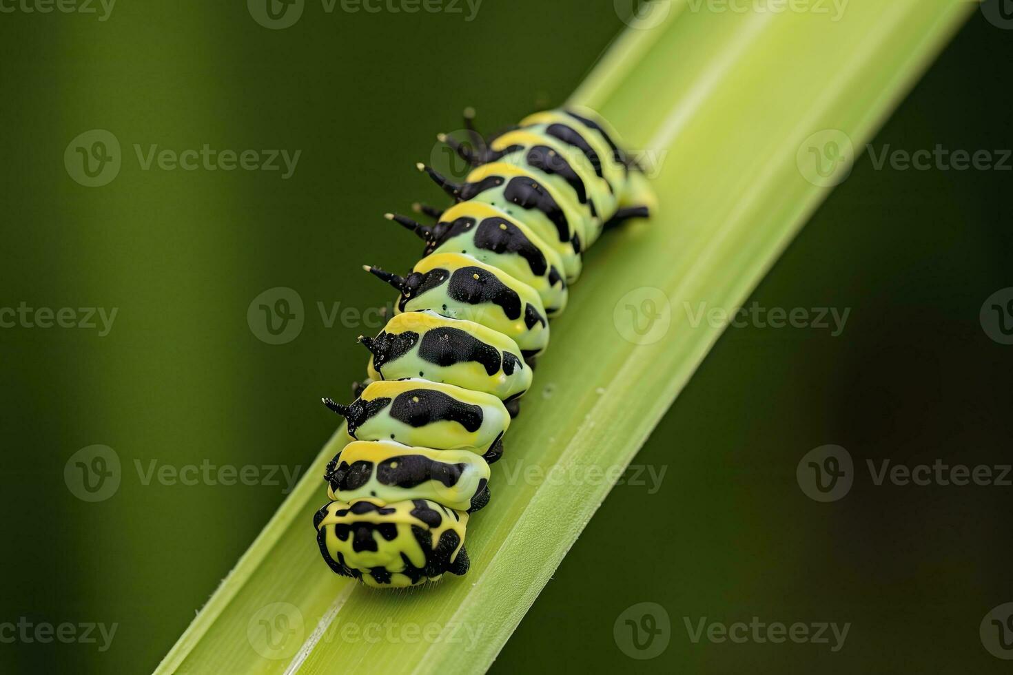 ai generado oruga encajar mariposa. generado ai. foto