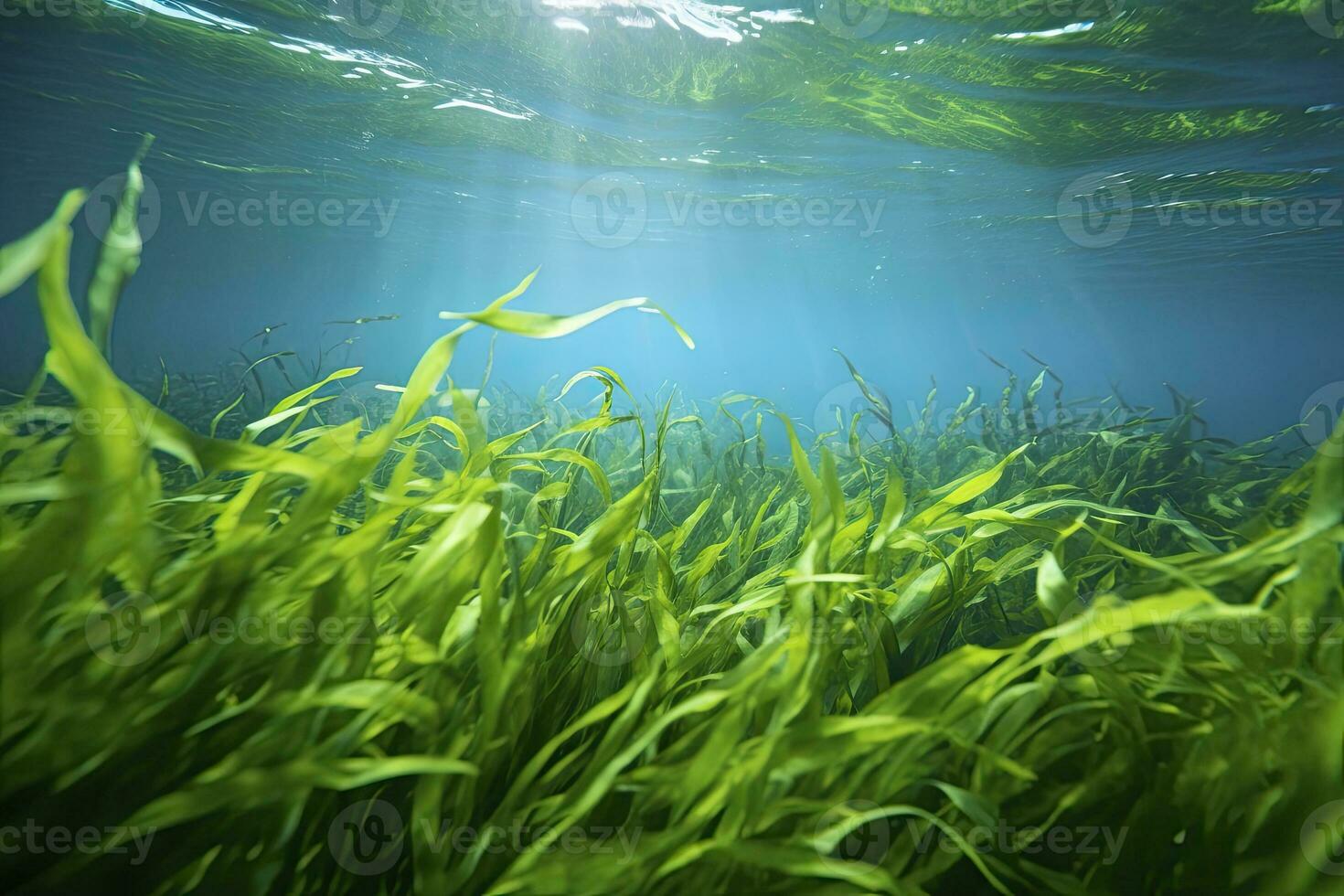 AI generated Underwater view of a group of seabed with green seagrass. AI Generated photo