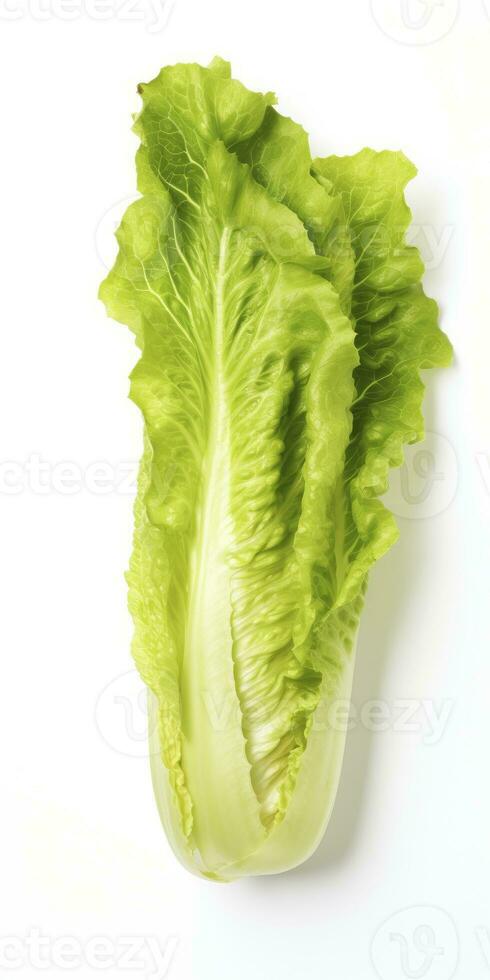 AI generated Lettuce isolated on white background. AI Generated photo