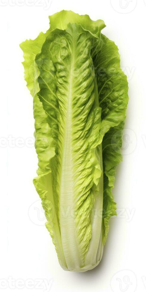 AI generated Lettuce isolated on white background. AI Generated photo