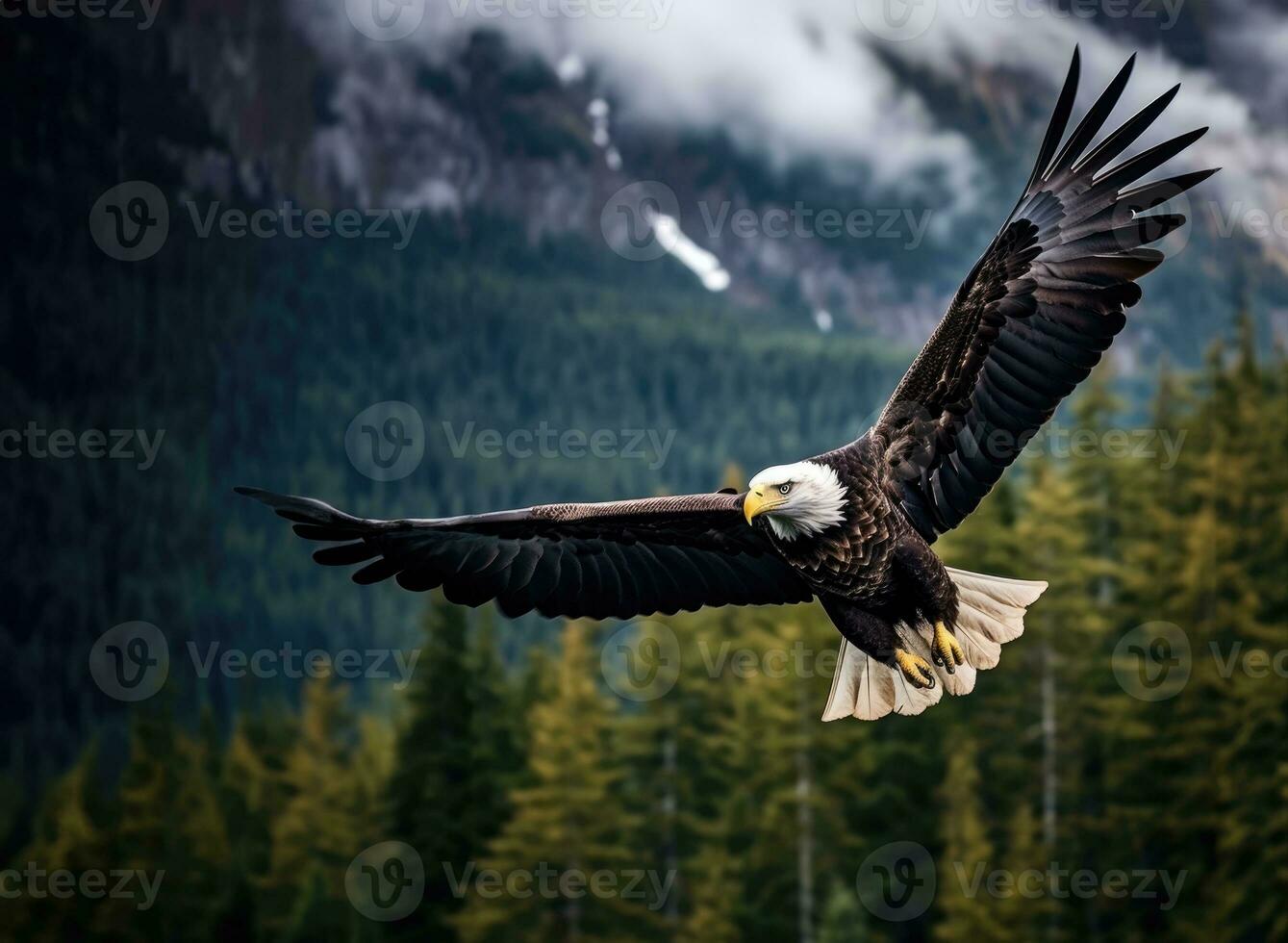 ai generado americano calvo águila en el naturaleza antecedentes foto
