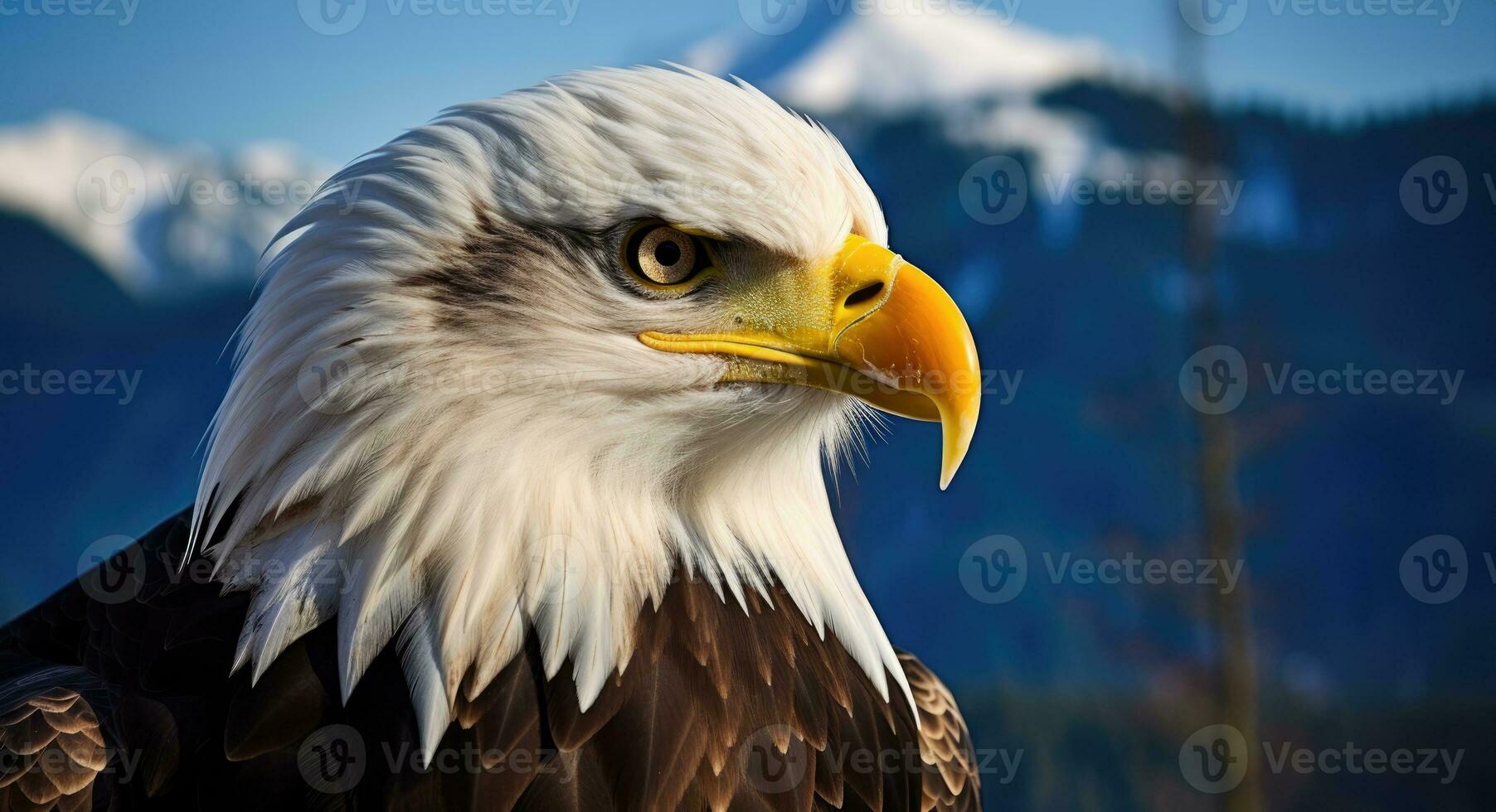 AI generated American bald eagle in the nature background photo