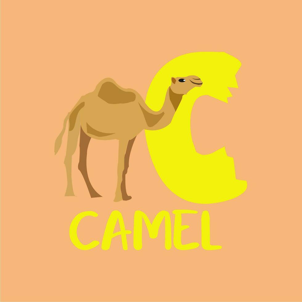 Animal alphabet letter C. English alphabet with cute animal concept. Vector illustration.illustration alphabet letter C for camel with animal good for kid education