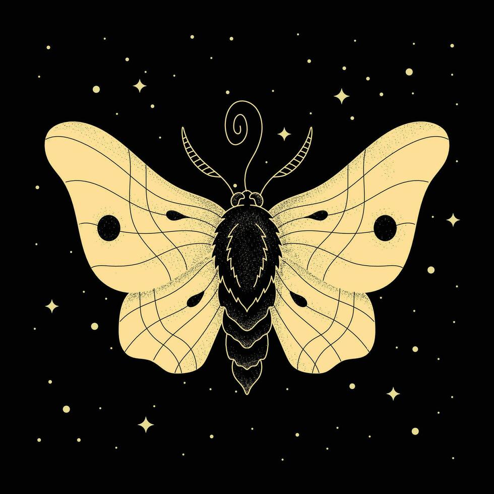 Moth with Sacred Geometry Mystical Symbol vector