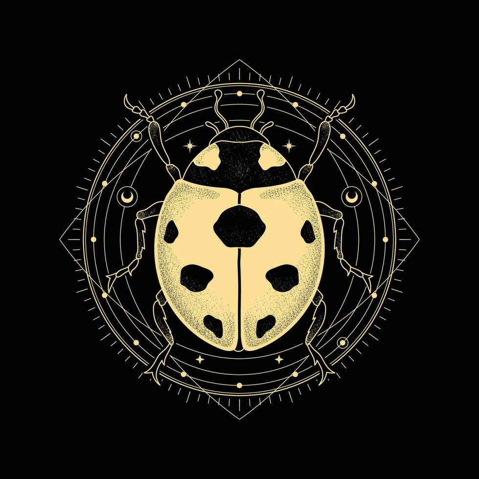 Ladybug Drawing Art with Luxurious Line art Stipple and Hand-drawn Technique vector