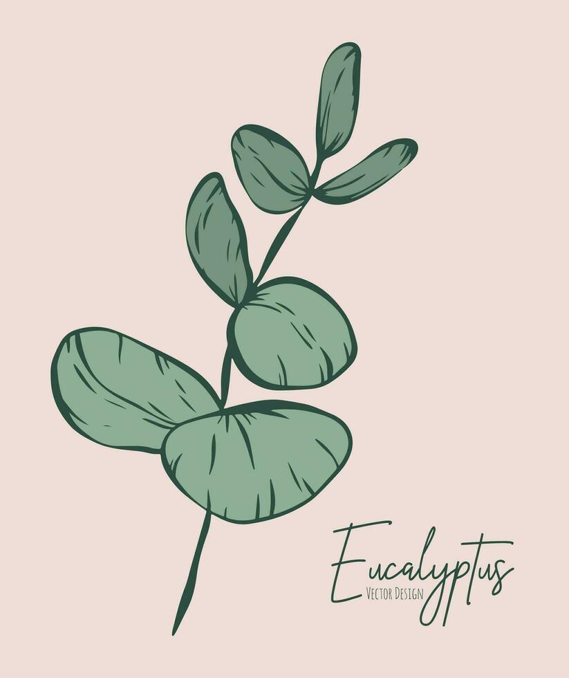 Botanical elegant line illustration of a eucalyptus leaves branch for wedding invitation and cards, logo design, web, social media and poster, template, advertisement, beauty and cosmetic industry. vector