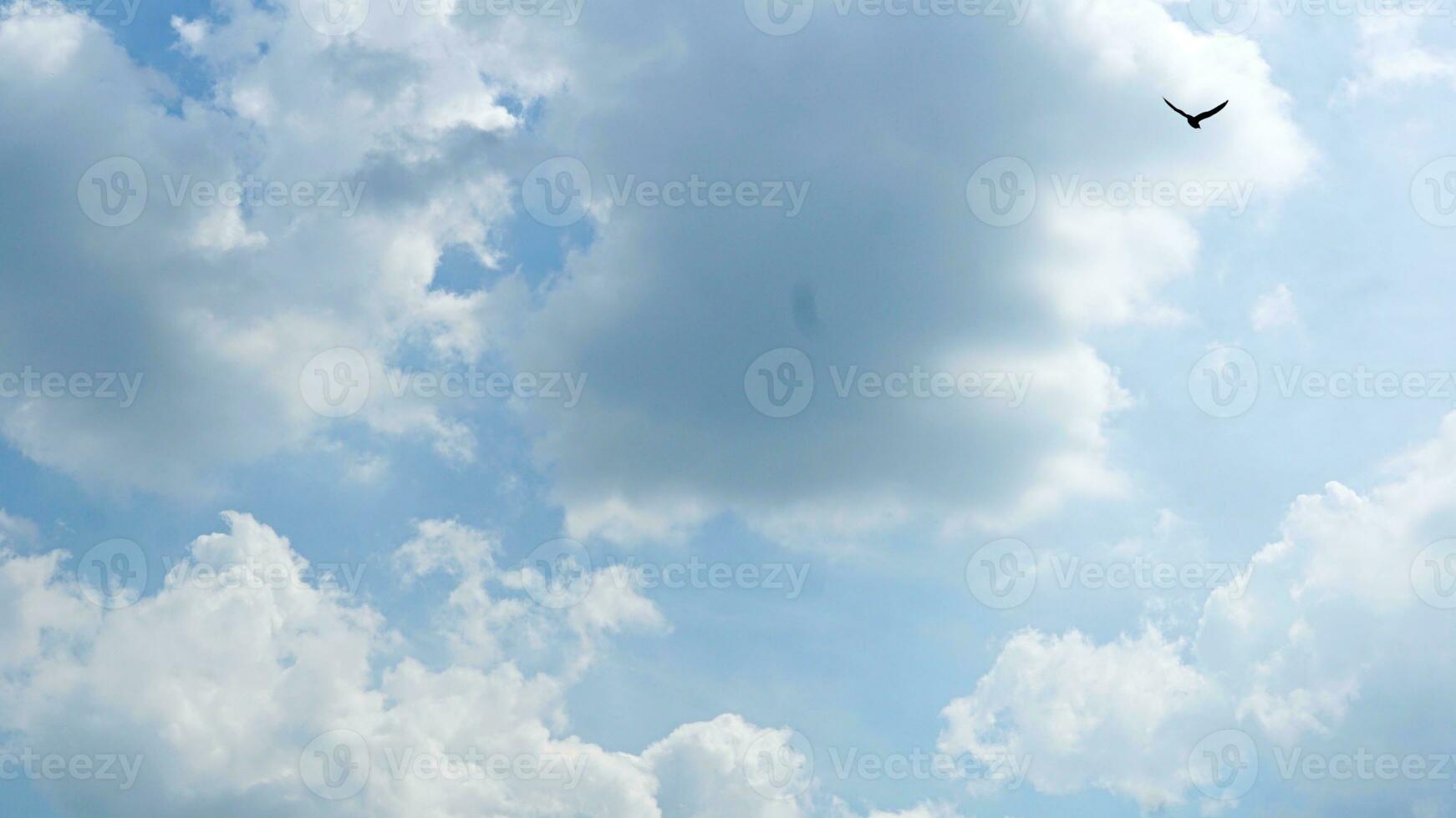 white cloud on blue sky photo