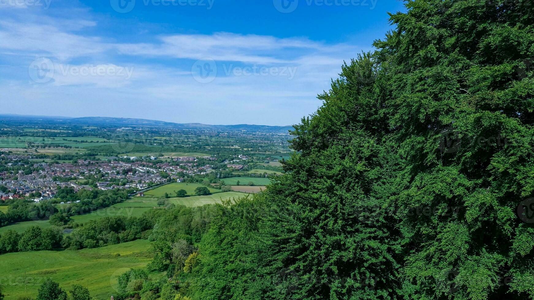 Lush green landscape with a dense forest in the foreground and a panoramic view of a town with clear blue skies. photo