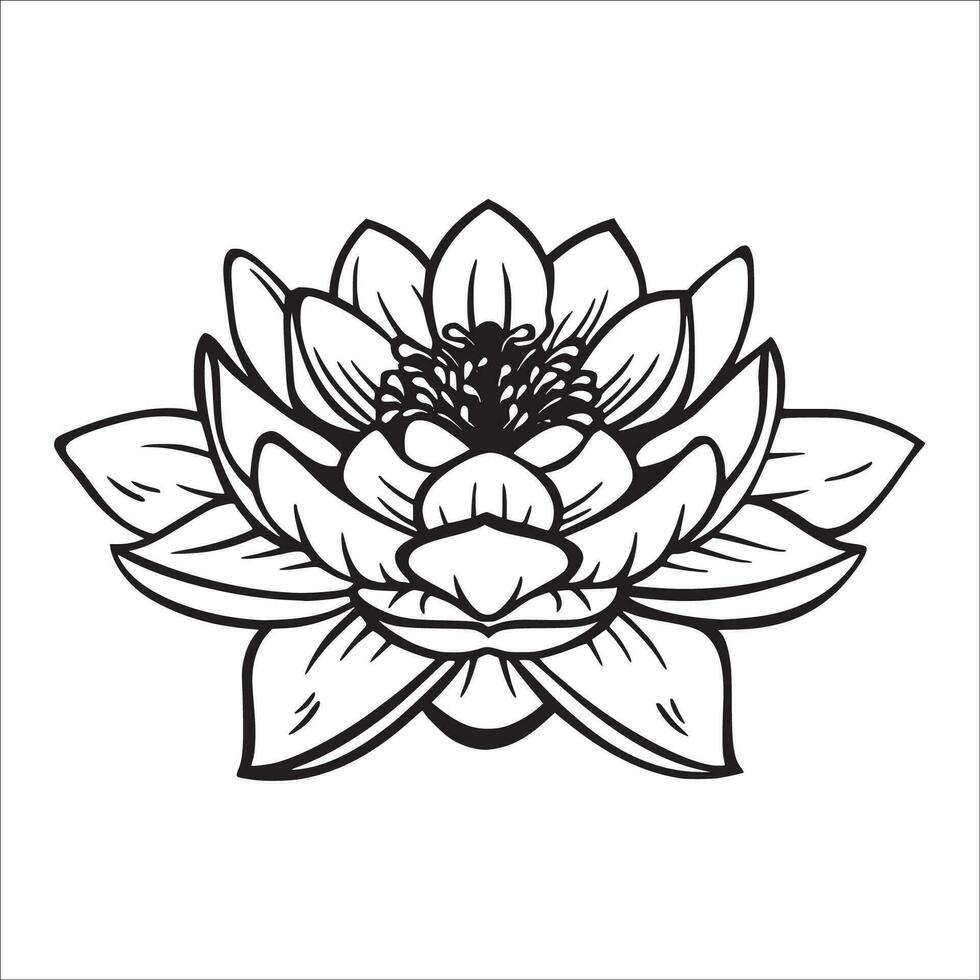 Stylish , fashionable  and awesome Lotus Flower art and illustrator vector