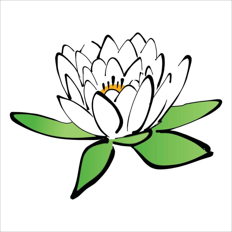 elegante , de moda y increíble loto flor Arte y ilustrador vector