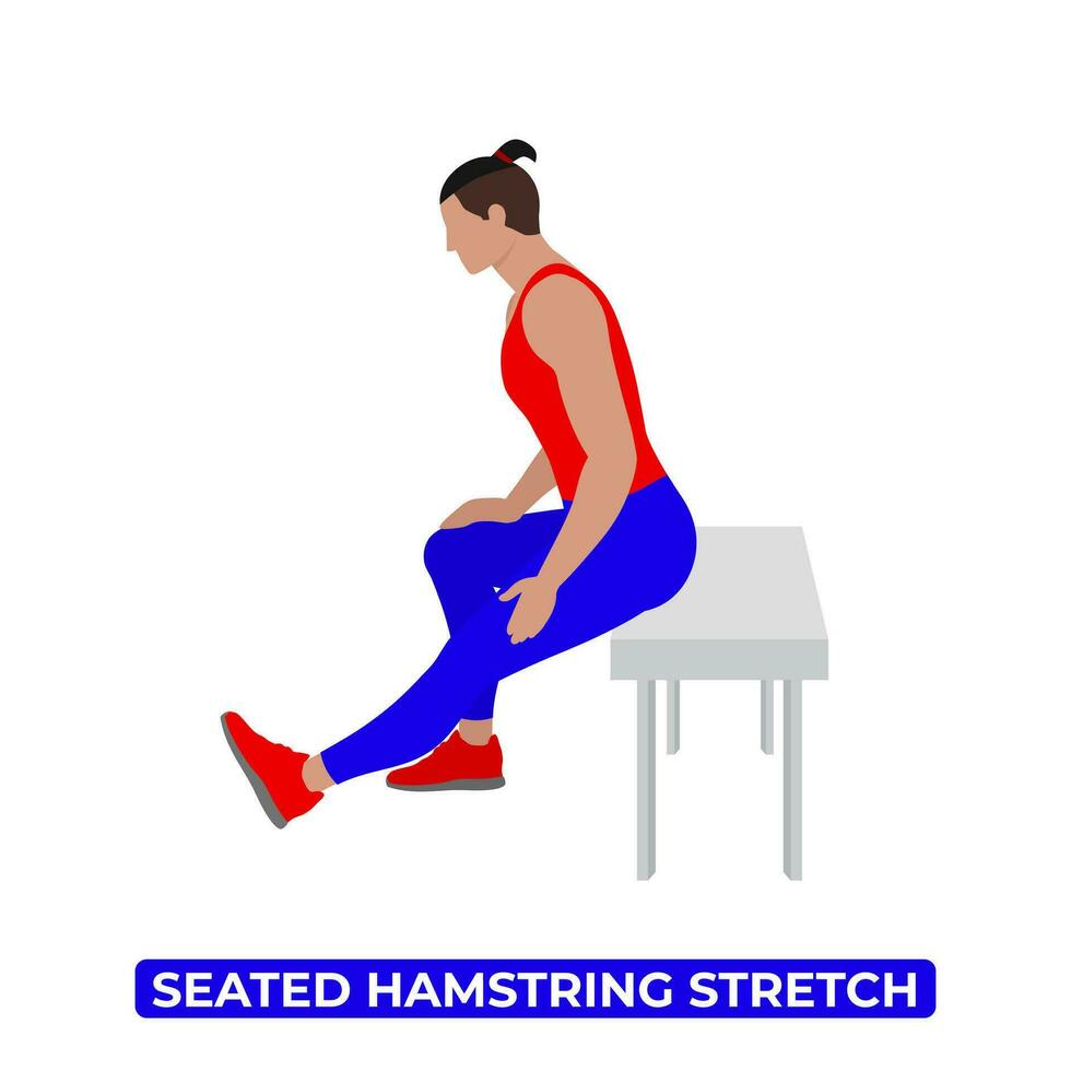 Bench Seated Hamstring Stretching Men 36022938 Vector Art at Vecteezy