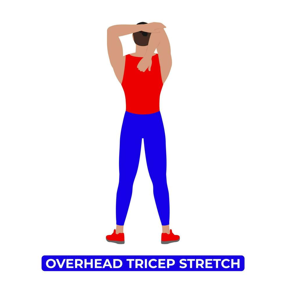 Vector Man Doing Overhead Tricep Stretch. An Educational Illustration On A White Background.