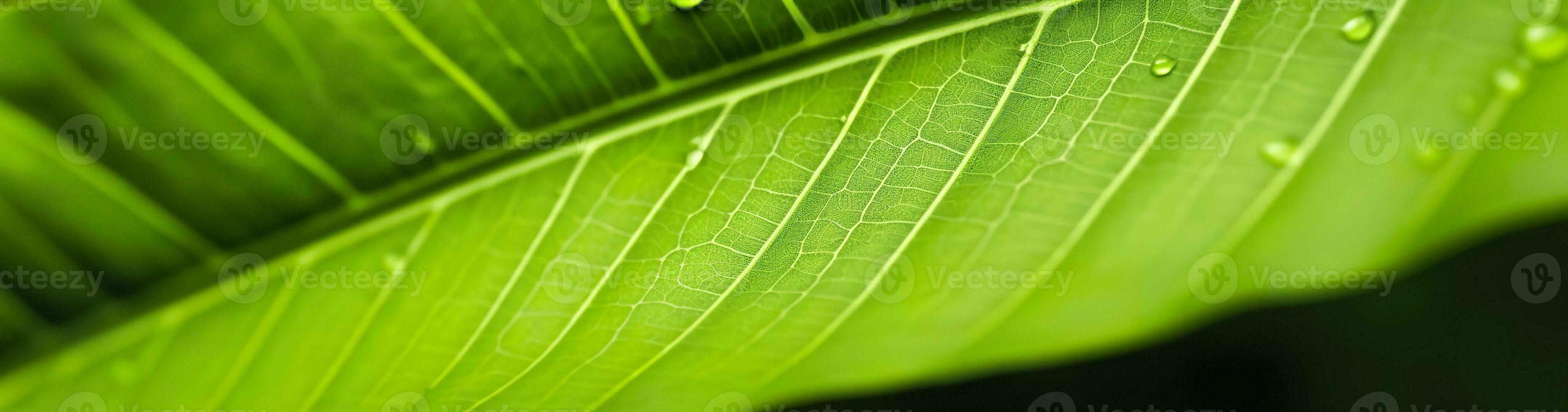 AI generated Green leaf nature background. AI Generated photo