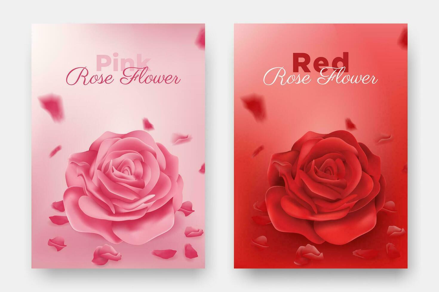 Red Pink Rose Vector Illustration
