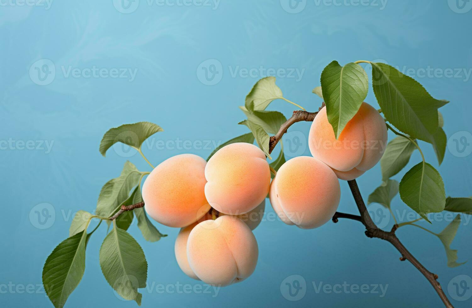 AI generated branch with apricot fruits on a blue background photo