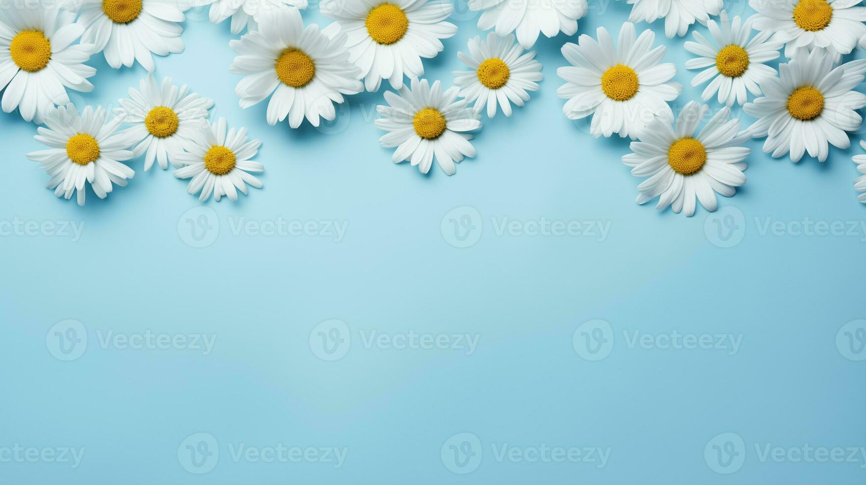 AI generated daisies on a blue background, top view, spring background photo