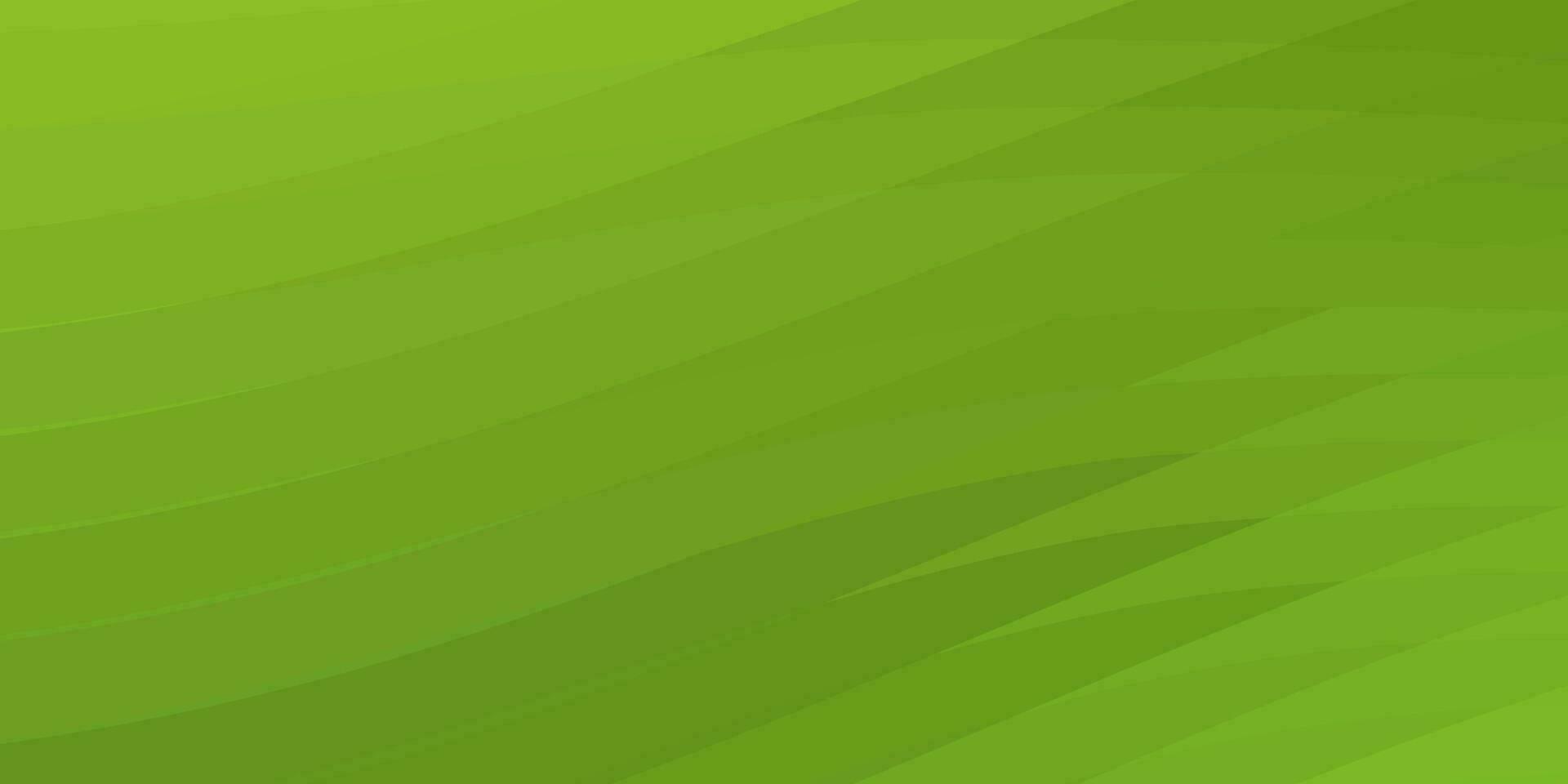 abstract green yellow modern elegant background vector
