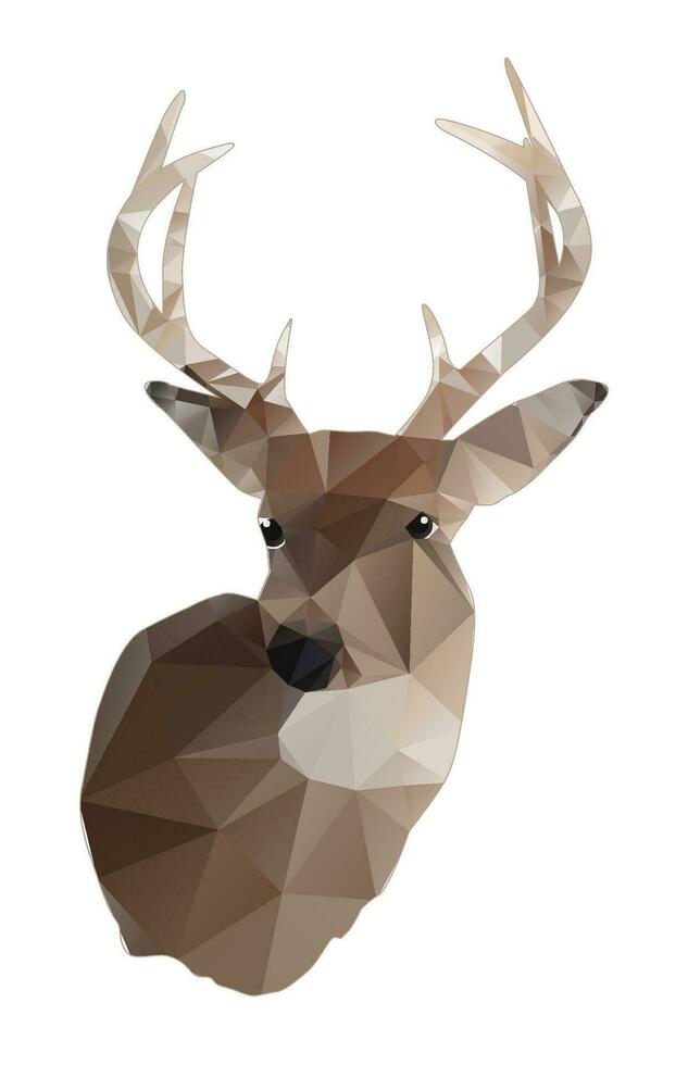 Deer Buck Mount Illustration vector