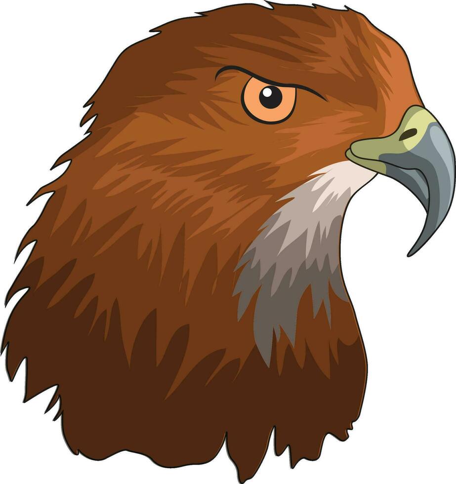 Eagle beak isolated vector illustration