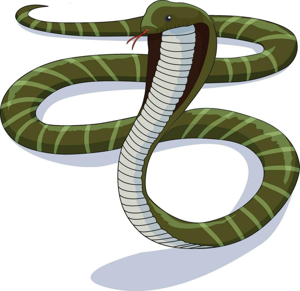 A venoumous snake sitting quietly vector