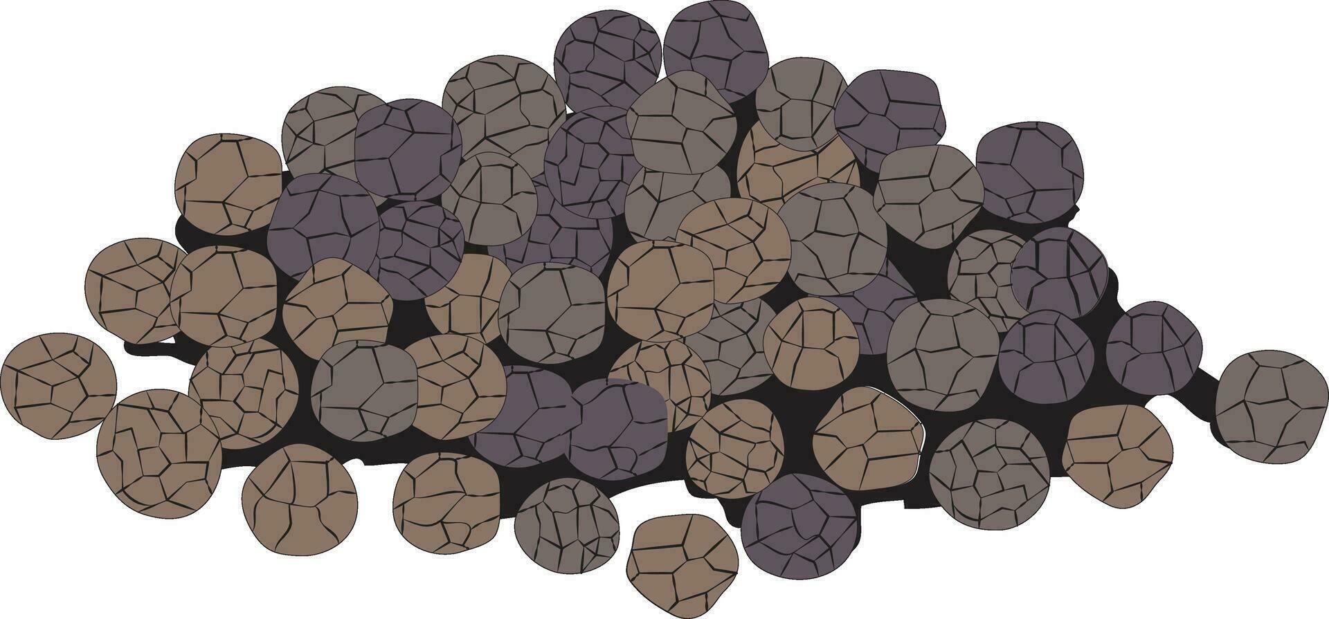 Black pepper isolated vector illustration