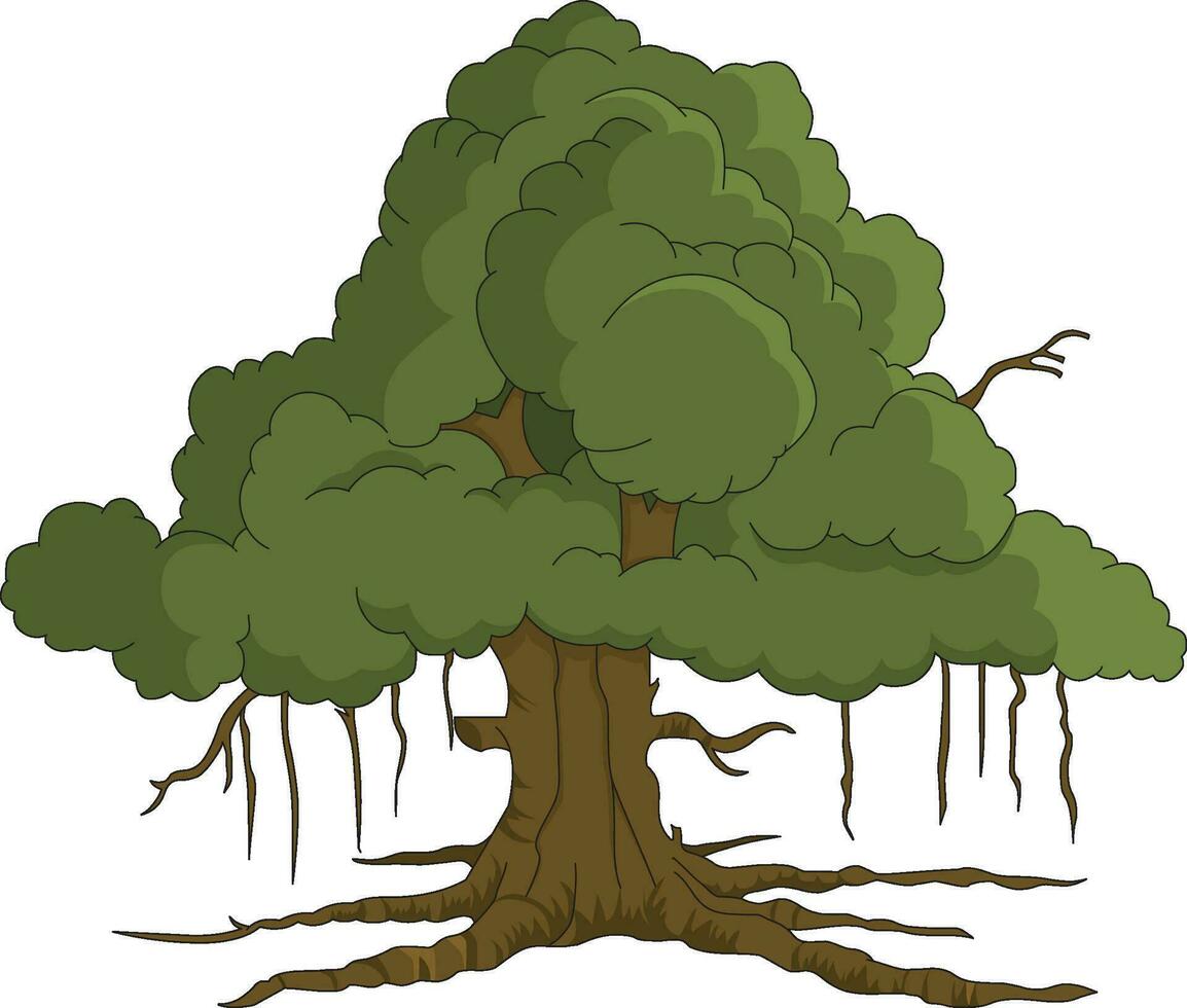 Banyan tree isolated vector illustration