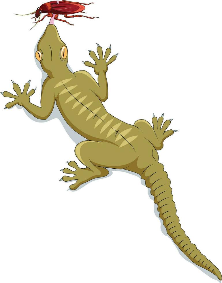 A lizard trying to catch a cockroach with its tongue vector