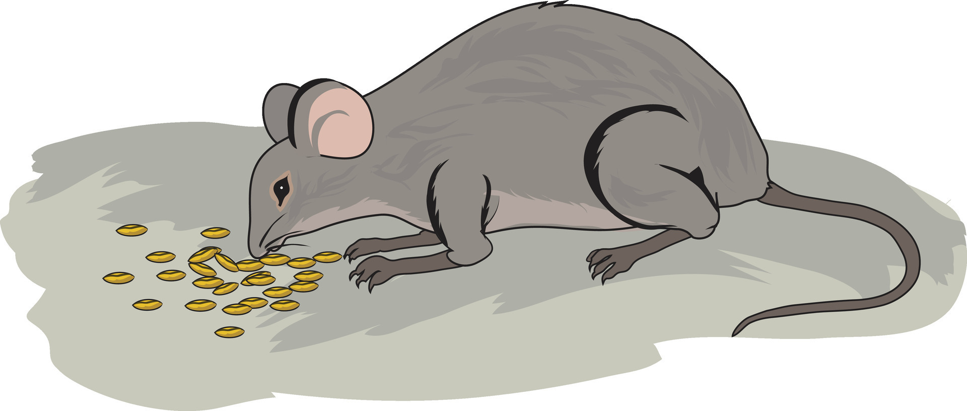 A mouse happily eating nuts 36026210 Vector Art at Vecteezy